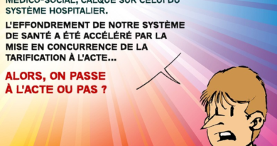 LA CASSE DU SYSTEME SOLIDAIRE DE SANTE ET D’ACTION SOCIALE : PROJET SERAPHIN PH EN BD LA CASSE DU SYSTEME SOLIDAIRE DE SANTE ET D’ACTION SOCIALE : PROJET SERAPHIN PH EN BD